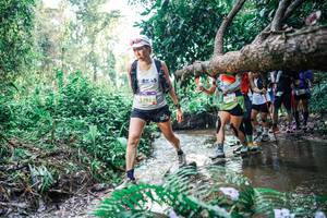 BIB: 
                            <button type="button" onclick="openModal(25457904)" class="btn btn-primary btn-sm float-right btn-popup" data-toggle="modal" data-target=".modal-high-quality">
                        <i class="fas fa-shopping-cart"></i> Add to Cart
                    </button>
                                            <button type="button" onclick="isThisMe(25457904, true)" class="btn btn-success btn-sm float-right btn-popup btn-isme hidden" data-toggle="tooltip" data-placement="bottom" title="นี่คือรูปของคุณใช่ไหม คลิกที่นี่เพื่อเอาเข้าอัลบั้ม">
                        <i class="fas fa-plus"></i> Add to album
                    </button>
                    <button type="button" onclick="isThisMe(25457904, false)" class="btn btn-warning btn-sm float-right btn-popup btn-isnotme hidden">
                        <i class="fas fa-ban"></i> Remove from album
                    </button>